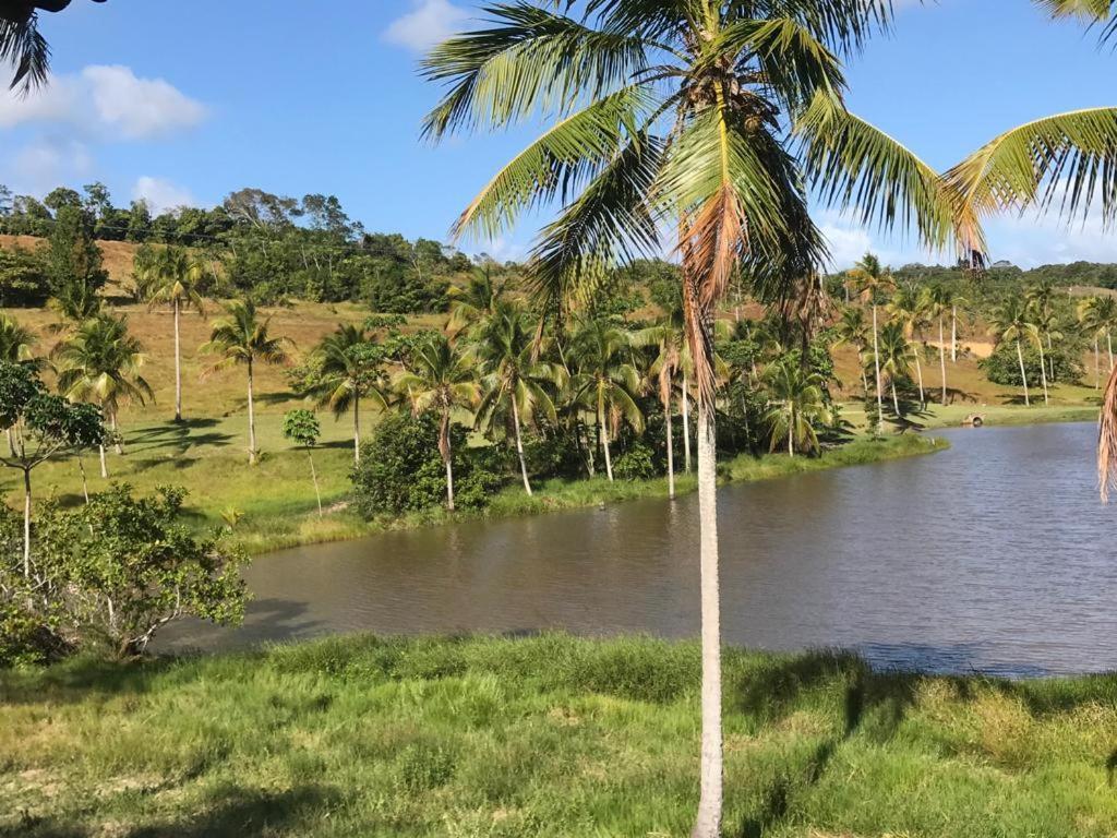 Oka Milagres 22 Villa São Miguel dos Milagres Eksteriør bilde